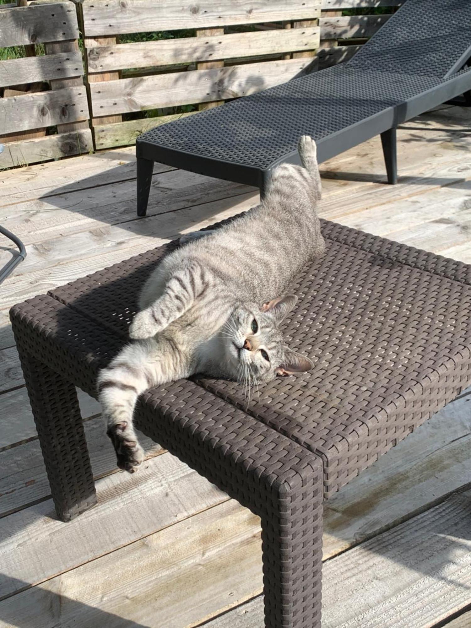 Cookie Home Dolomieux Dış mekan fotoğraf