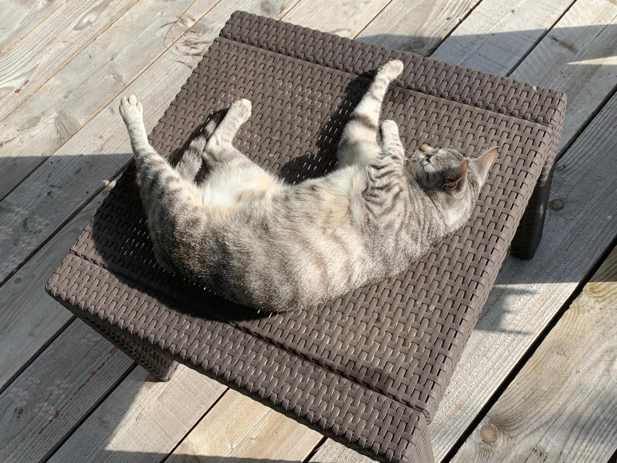 Cookie Home Dolomieux Dış mekan fotoğraf